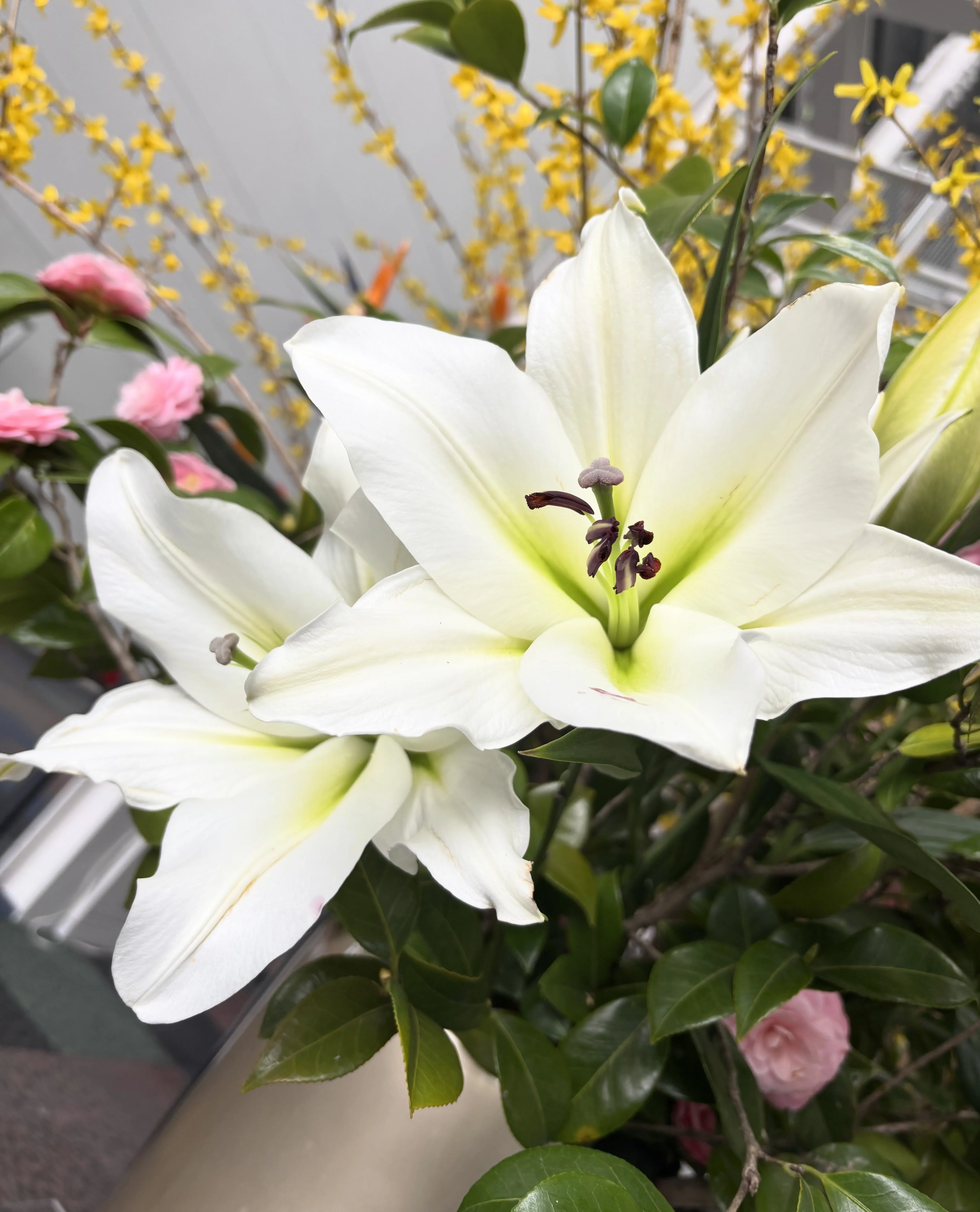茶華道部